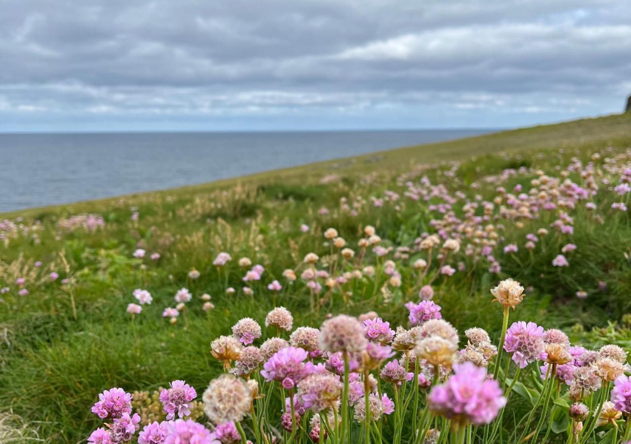 Loop Head Lighthouse Attendant'S Cottage Kilbaha Esterno foto